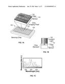 DEVICES, METHODS, AND SYSTEMS OF FUNCTIONAL OPTICAL COHERENCE TOMOGRAPHY diagram and image