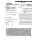 RECOMBINANT SELF-ASSEMBLING PROTEIN COMPRISING TARGET-ORIENTED PEPTIDE AND     USE THEREOF diagram and image