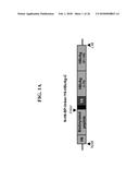 RECOMBINANT SELF-ASSEMBLING PROTEIN COMPRISING TARGET-ORIENTED PEPTIDE AND     USE THEREOF diagram and image