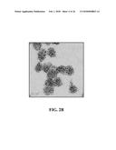 RECOMBINANT SELF-ASSEMBLING PROTEIN COMPRISING TARGET-ORIENTED PEPTIDE AND     USE THEREOF diagram and image