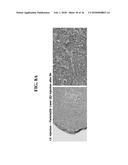 RECOMBINANT SELF-ASSEMBLING PROTEIN COMPRISING TARGET-ORIENTED PEPTIDE AND     USE THEREOF diagram and image