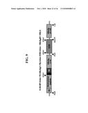 RECOMBINANT SELF-ASSEMBLING PROTEIN COMPRISING TARGET-ORIENTED PEPTIDE AND     USE THEREOF diagram and image