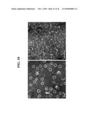 RECOMBINANT SELF-ASSEMBLING PROTEIN COMPRISING TARGET-ORIENTED PEPTIDE AND     USE THEREOF diagram and image