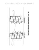 ELASTIC RESISTANT TRAINING APPARATUS AND METHODS diagram and image