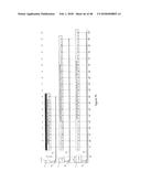 ELASTIC RESISTANT TRAINING APPARATUS AND METHODS diagram and image