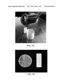 3D-PRINTED SCAFFOLD DEVICE FOR CELL TRANSPLANTATION diagram and image