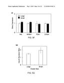 3D-PRINTED SCAFFOLD DEVICE FOR CELL TRANSPLANTATION diagram and image