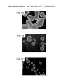 3D-PRINTED SCAFFOLD DEVICE FOR CELL TRANSPLANTATION diagram and image