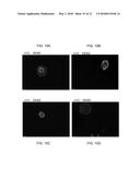 3D-PRINTED SCAFFOLD DEVICE FOR CELL TRANSPLANTATION diagram and image