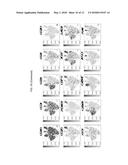 METHODS TO PRESERVE TUMOR-STROMAL INTERACTIONS IN CULTURE AND THERAPEUTIC     PREDICTIVE APPLICATIONS THEREOF diagram and image