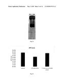 METHOD FOR OBTAINING A BIOMASS OF A MICROALGA OF THE SPECIES Tetraselmis     chuii ENRICHED IN SUPEROXIDE DISMUTASE (SOD) diagram and image