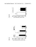 INTRAVASCULAR DELIVERY OF NANOPARTICLE COMPOSITIONS AND USES THEREOF diagram and image