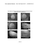 FOAMABLE FORMULATION diagram and image