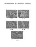 MULTIDRUG BRITTLE MATRIX COMPOSITIONS diagram and image