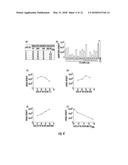 BENZENE-1,3,5-TRICARBOXAMIDE DERIVATIVES AND USES THEREOF diagram and image