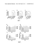 BENZENE-1,3,5-TRICARBOXAMIDE DERIVATIVES AND USES THEREOF diagram and image