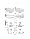 BENZENE-1,3,5-TRICARBOXAMIDE DERIVATIVES AND USES THEREOF diagram and image