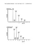 BENZENE-1,3,5-TRICARBOXAMIDE DERIVATIVES AND USES THEREOF diagram and image