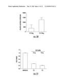 BENZENE-1,3,5-TRICARBOXAMIDE DERIVATIVES AND USES THEREOF diagram and image