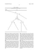 BENZENE-1,3,5-TRICARBOXAMIDE DERIVATIVES AND USES THEREOF diagram and image