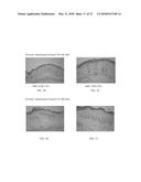 ANTIMICROBIALS AND METHODS OF USE THEREOF diagram and image