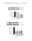 Use of andrographolide derivatives in preparation of medicaments for     preventing and treating inflammatory bowel diseases diagram and image