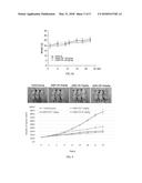 Breast cancer therapeutic agent containing     5 -hydroxy-5-nitro-indirubin-3 -oxime as active ingredient diagram and image