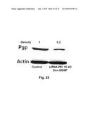 CATIONIC POLYMER COATED MESOPOROUS SILICA NANOPARTICLES AND USES THEREOF diagram and image