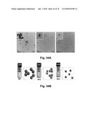 CATIONIC POLYMER COATED MESOPOROUS SILICA NANOPARTICLES AND USES THEREOF diagram and image