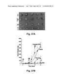 CATIONIC POLYMER COATED MESOPOROUS SILICA NANOPARTICLES AND USES THEREOF diagram and image