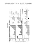 Cardiomyocyte-Specific Biological Markers and Uses Thereof diagram and image