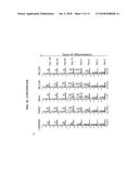 Cardiomyocyte-Specific Biological Markers and Uses Thereof diagram and image