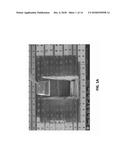 FACE-ON, GAS-ASSISTED ETCHING FOR PLAN-VIEW LAMELLAE PREPARATION diagram and image