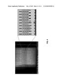 FACE-ON, GAS-ASSISTED ETCHING FOR PLAN-VIEW LAMELLAE PREPARATION diagram and image