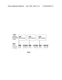 Hybrid mass spectrometer diagram and image