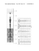 ION TRANSFER APPARATUS diagram and image