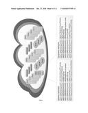 DISTRIBUTED PROCESSING SOFTWARE BASED MODEM diagram and image