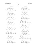 METHODS OF TREATING CANCER WITH SMALL MOLECULE NF-kB INHIBITORS diagram and image